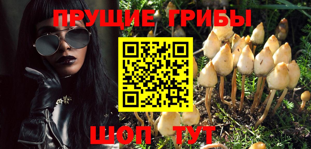 Псилоцибиновые грибы прущие грибы Чистополь
