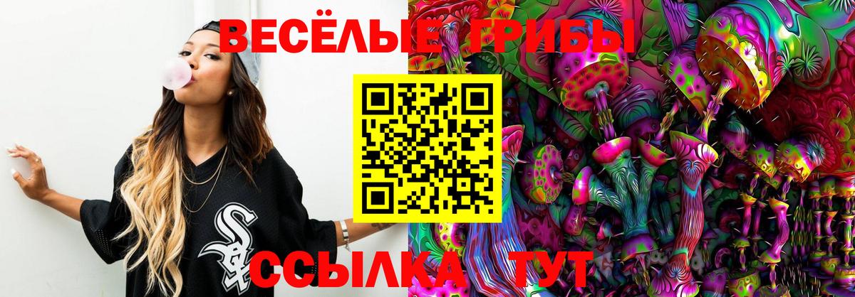 Галлюциногенные грибы Psilocybe  цены   Псилоцибиновые грибы Psilocybine cubensis  Чистополь  Вход с VPN 